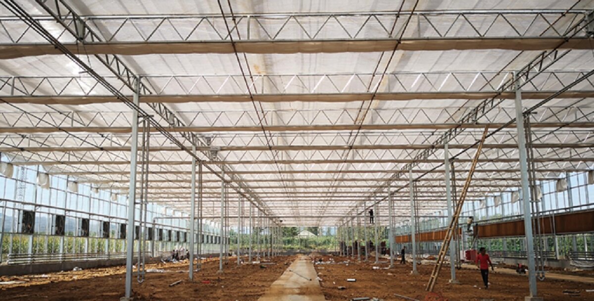 信橋鋼構(gòu)：打卡蒙陰農(nóng)業(yè)溫室大棚、青州黑牛養(yǎng)殖基地！(圖3)