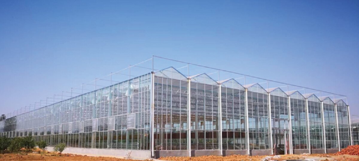 信橋鋼構(gòu)：打卡蒙陰農(nóng)業(yè)溫室大棚、青州黑牛養(yǎng)殖基地！(圖2)